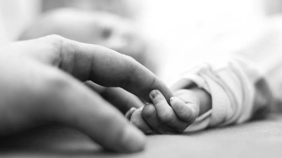 Câmara Municipal decreta Luto Oficial de 3 dias pelo falecimento de  Antônio Joan Haddad